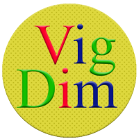 VigDim